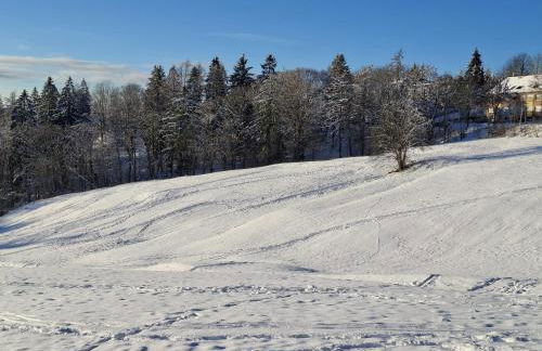 FeWo Harzer Wiesenberg, bis zu 2 Hunde willkommen! - Photo 16