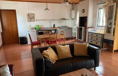 Casa Agostinho - with private pool near Coimbra - Foto 10