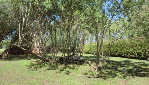 Apartments in Ribnitz-Damgarten 36531 - Foto 3