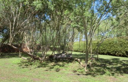 Apartments in Ribnitz-Damgarten 36531 - Foto 3