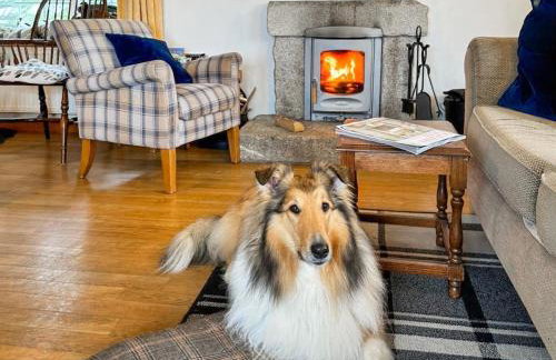 Raddons - Uk50657 - Foto 6