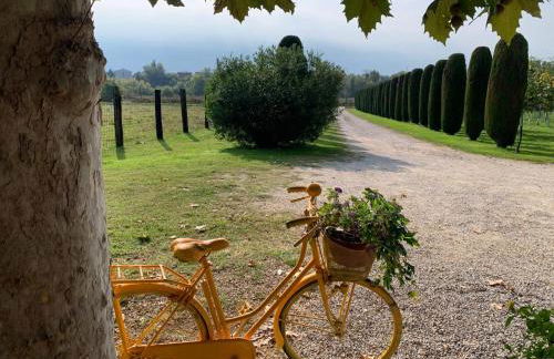 Agriturismo Corte Bonetti - Foto 37