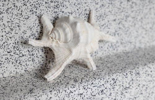 Villa Mare Nostrum Sounio - Foto 63