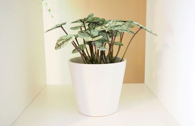 Metro Apartments South Melbourne CBD edge - Foto 23