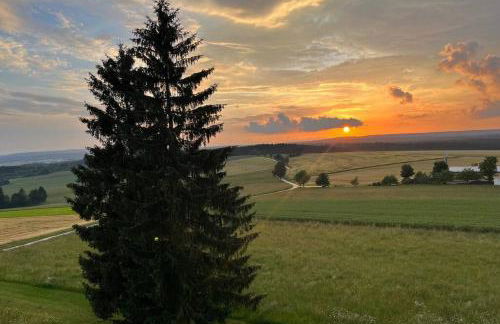 Apartment mit Grünblick & Wintergarten im Schwarzwald - Foto 11