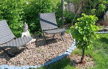 Fewo am grossen Bruch 2 - Foto 15