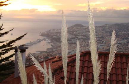 Apartamento Charmoso no Funchal, com grande Jardim e Vista Esplêndida - Foto 24