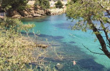 le cytharis - Foto 56