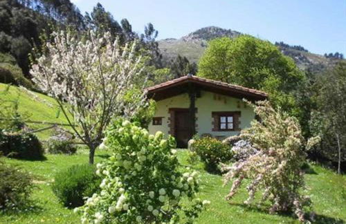 Los Acebos de Peña Cabarga, Cúpula experiencias - Foto 10