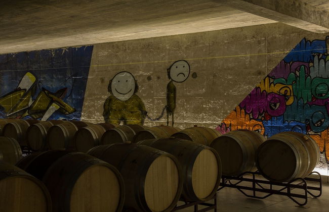 QUINTA DA FAISCA - Agro Turismo - Foto 7