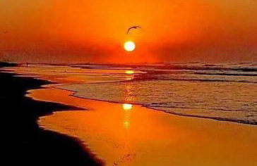 Refúgio 50 metros da praia - Photo 31