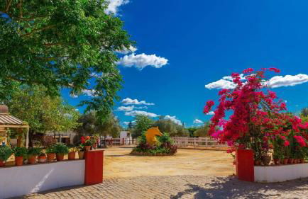 Finca la Cañera Alcalá de Guadaira by Ruralidays - Foto 33