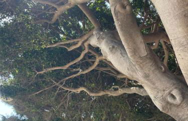 Sun and Sea Modern Studio El Palo 1 min to Beach - Foto 42