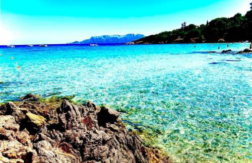 Apartment in Sardinia with Sea View - Photo 40