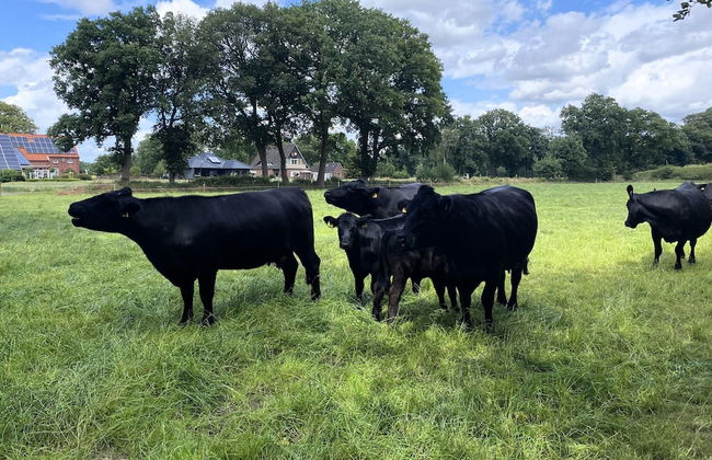 Reihenhauser in Strackholt - Photo 35