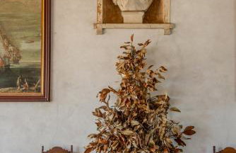 Castello di Roncade - Foto 24