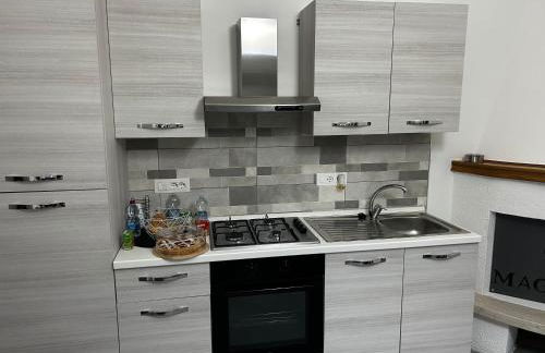 Le magnolie - Foto 12