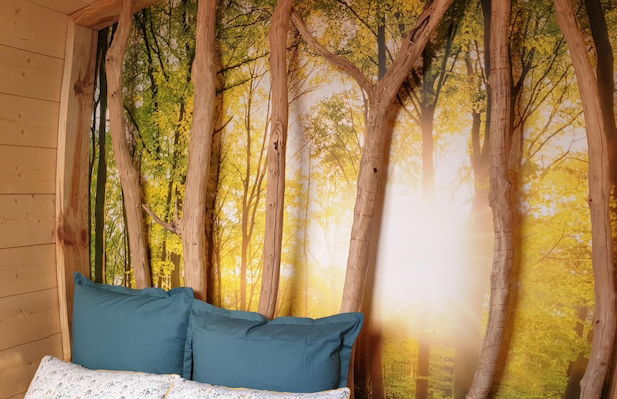 Kabanéo - Gîte et Sauna- Samois sur Seine - Forêt de Fontainebleau - Foto 4