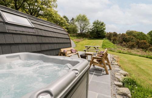 Llugwy Pod - Foto 18