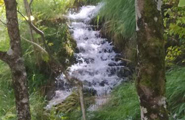 Apartment Gabi - Foto 56