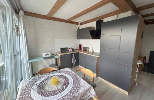 Must love dogs - Foto 8