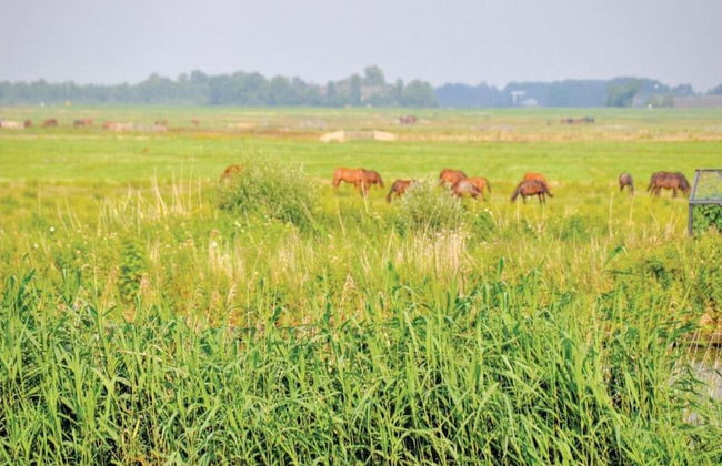 Holiday Home in Grou Near Frisian Lakes - Foto 31