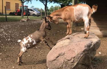 Agriturismo La Montina - Foto 37