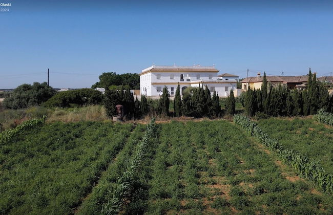 Alojamiento Rural Al-mare - Foto 26