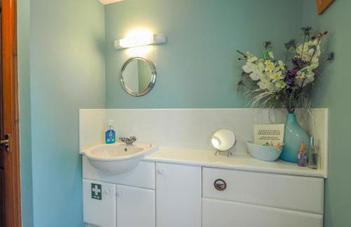 Nyth y Wennol Aberaeron - Photo 16