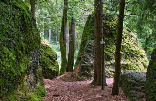 Ferienhaus Wurzelbergblick - Foto 15