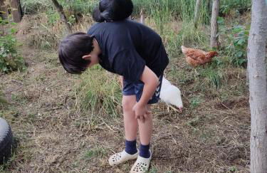 Holzhaus Chalet Nationalpark Eifel Hund willkommen - Foto 9