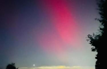 Farmhouse Feels & Peak Views - Foto 41