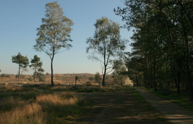 Villa in Luttenberg Near National Park - Photo 16