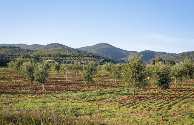 Agriturismo Terre di Castiglione - Foto 65