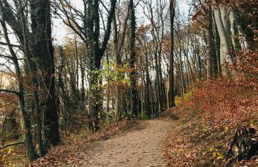 Urlaub am Elbstrand - Wohnung in Blankenese mit Naturblick - Foto 17