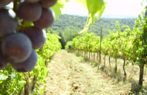 Casa Elisabetta - Foto 69