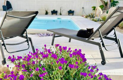 Mini Villa Pascal Paoli avec piscine - proche mer - Foto 12