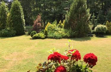 Dom w Sąpach - Foto 12