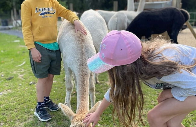 Hawthorn Cottage - Foto 38