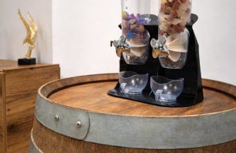 Appartement Spa - Jacuzzi privatif - Fer Rêver 63 - Foto 21