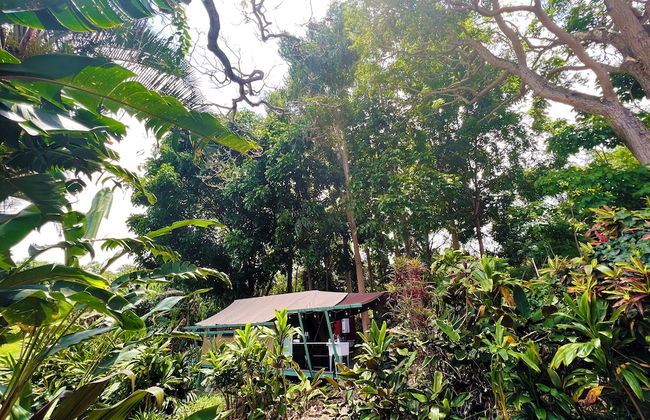 Gingerhill Farm Retreat - Foto 10