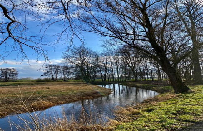 Holiday Lodge in Staphorst With Pool Access - Photo 32