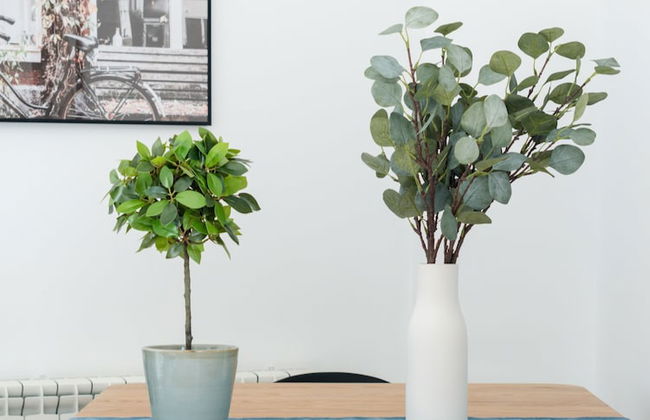 Limehome Madrid Calle de Don Ramón de la Cruz - Foto 52