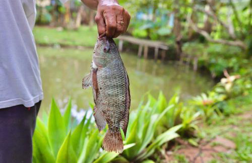 Casa Centenária com 20 min de Gramado - Foto 16