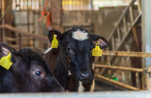 Chalet Lodge 2 - Hot Tub by Interhome - Foto 29