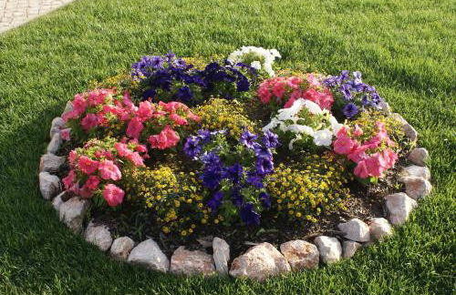 Casa da Eira em Dornes - Casa de campo familiar com piscina - Foto 24