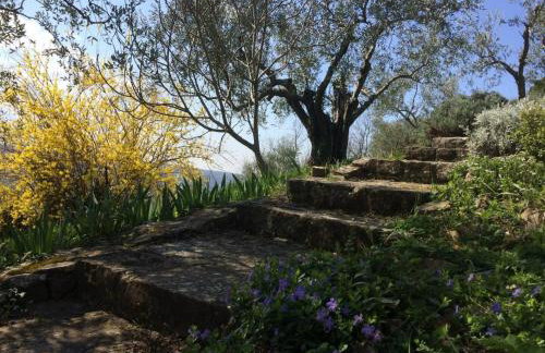 Villa Bella - Two Bedroom House - Foto 74