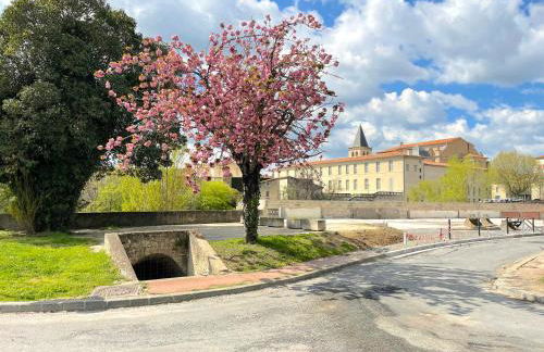 L'alouette - Studio Duplex Confort en Hypercentre - Photo 26