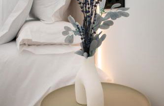 Surya home centro - Foto 20