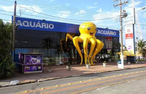 Apartamento próximo da praia - Foto 22